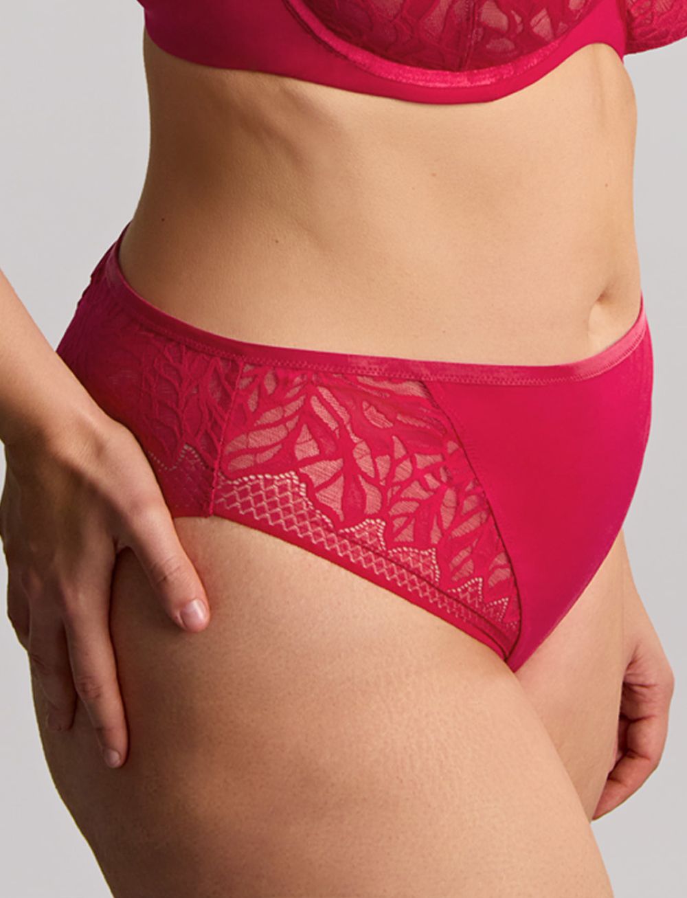 Sculptresse Sophia Brazilian Brief Raspberry