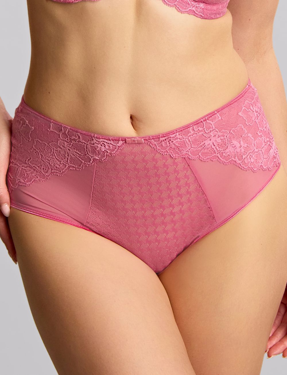 Panache Envy Deep Brief Fuchsia Pink