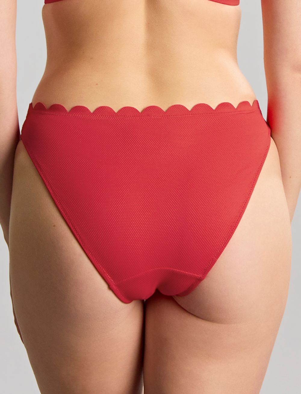 Panache Spirit Classic Bikini Brief Red