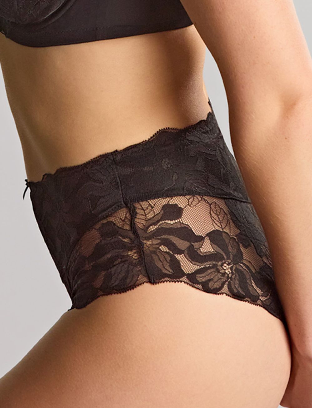 Panache Evangeline Deep Brief Black