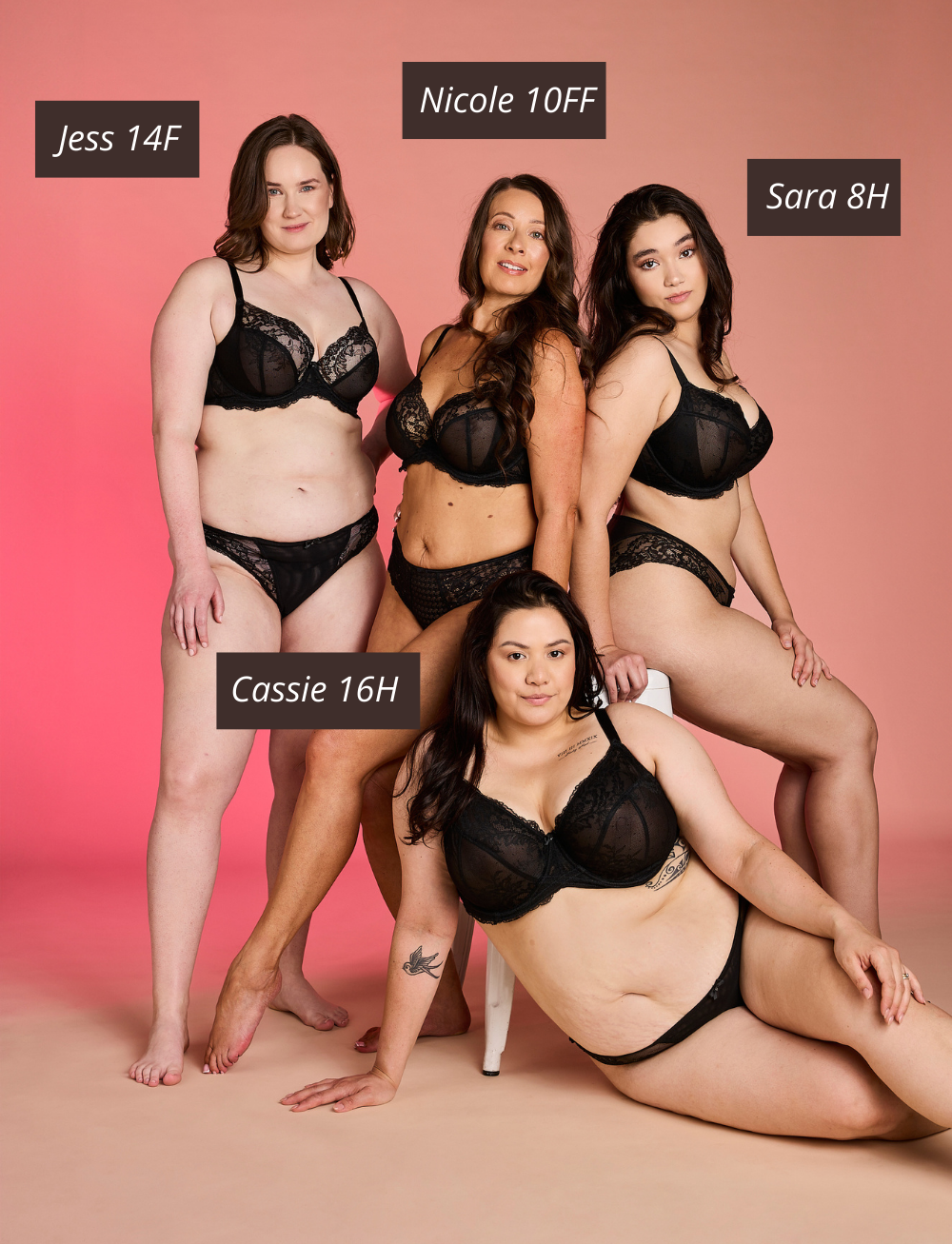 Panache Ana Plunge Bra Black