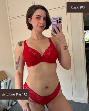 sg-6-8 Panache_Heidi_High_Apex_Bra_Red