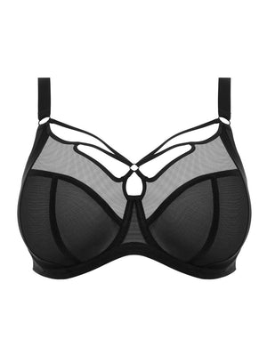 Elomi Bra - Basics Elomi Sachi Plunge Bra Black