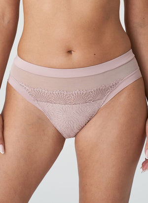 Prima Donna Lingerie - Bottom - Brief Prima Donna Sophora Rio Briefs Bois De Rose