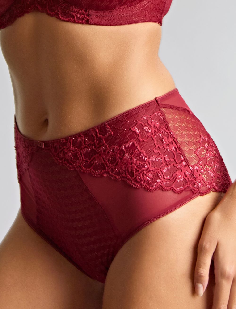 Panache Envy Deep Brief Sparkling Cherry