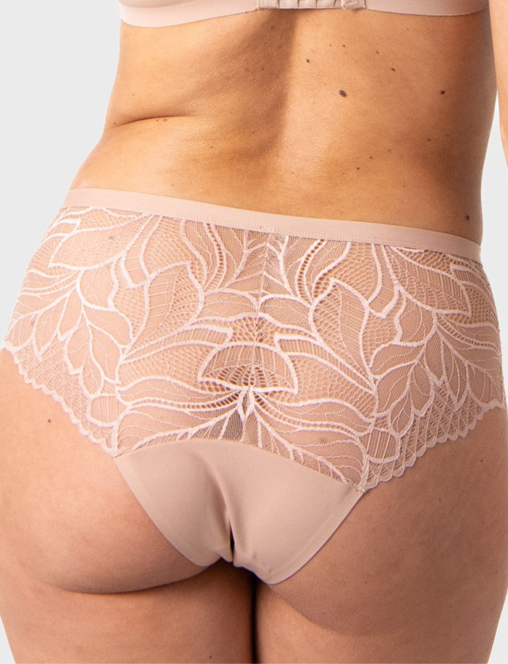 Hotmilk Evolve Classic Bikini Brief Cashmere